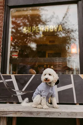 At the cafe